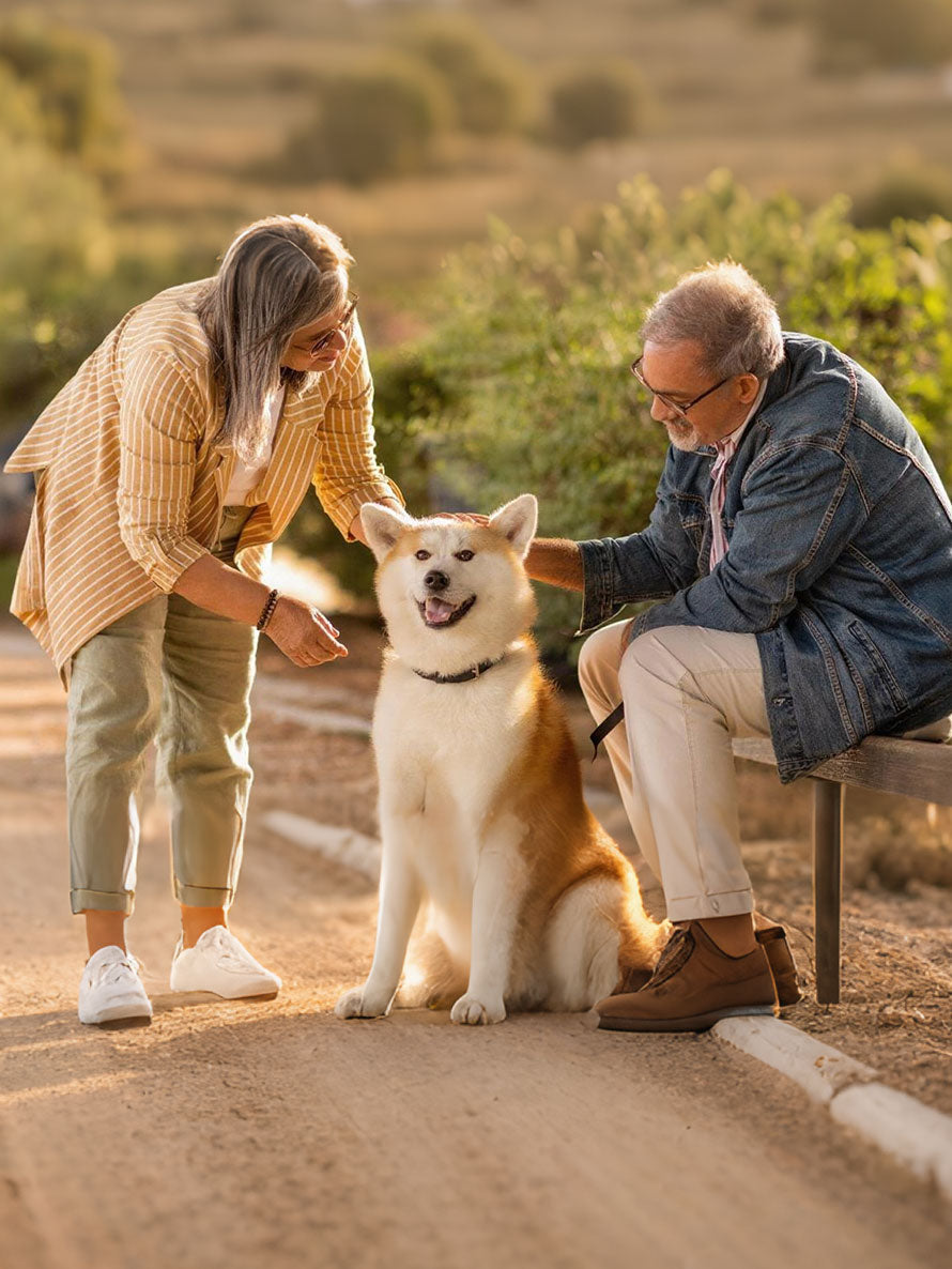 Pet Memorials